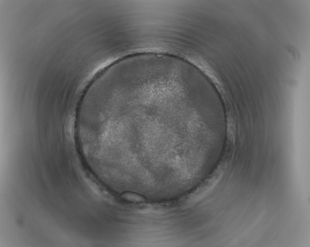 X0000113290434200910131029