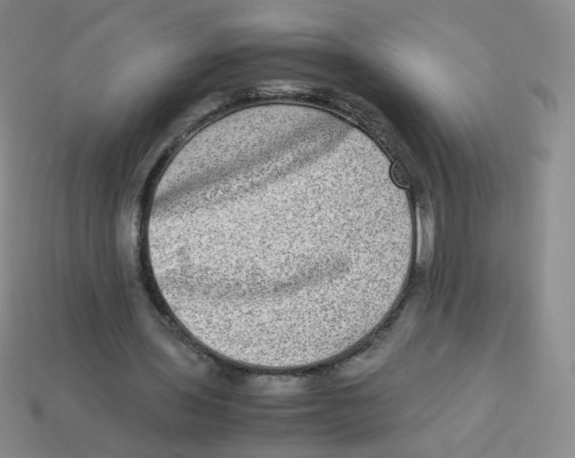 X0000113290435200910131029
