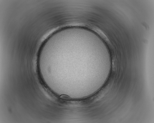 X0000113290436200910131029