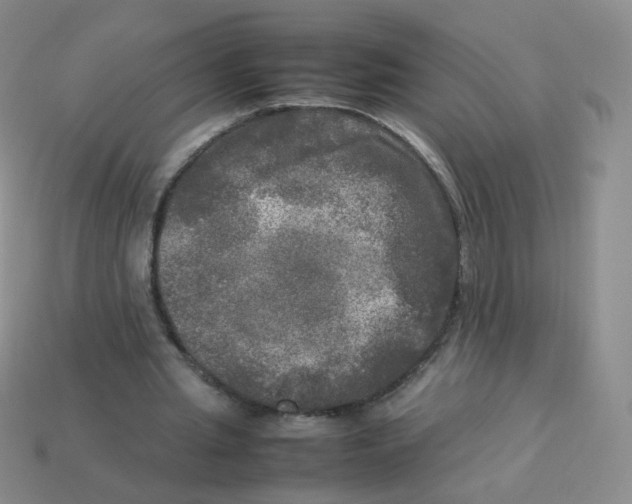 X0000113290437200910131029