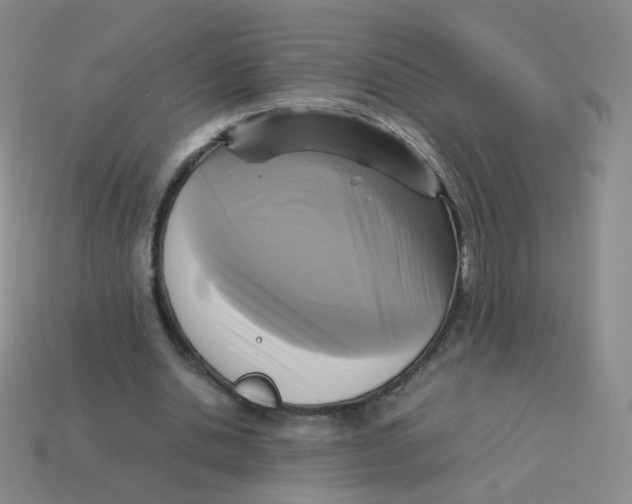 X0000113290438200910131029