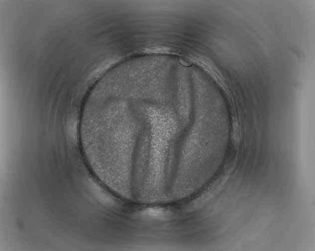 X0000113290441200910131029