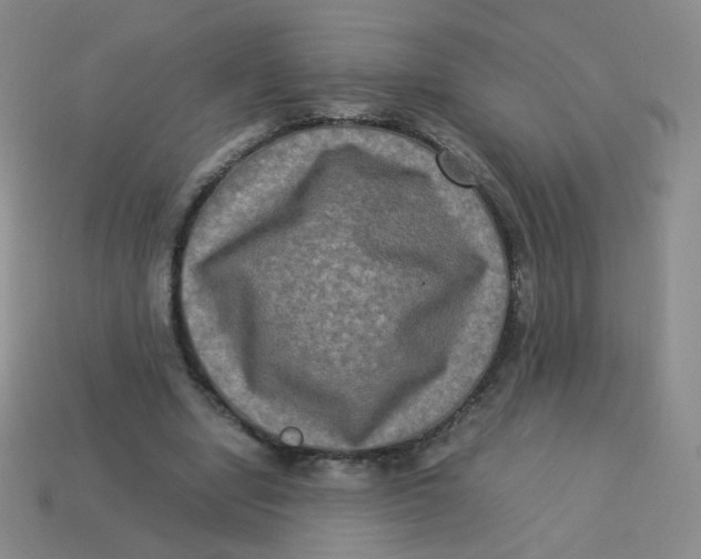 X0000113290442200910131029