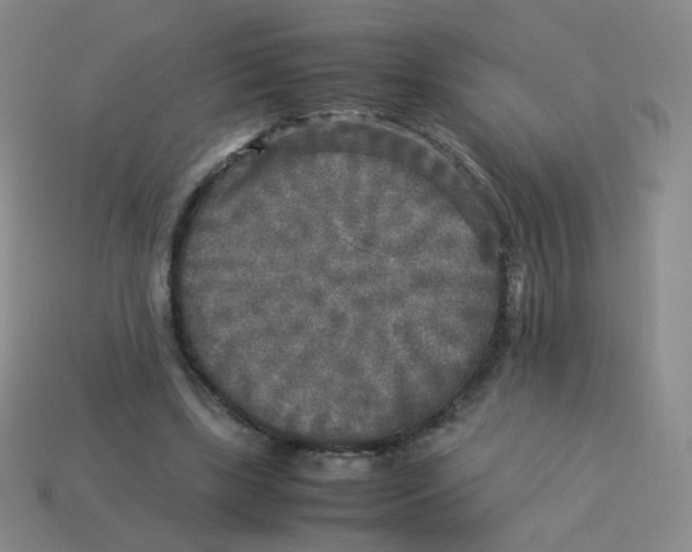 X0000113290443200910131029
