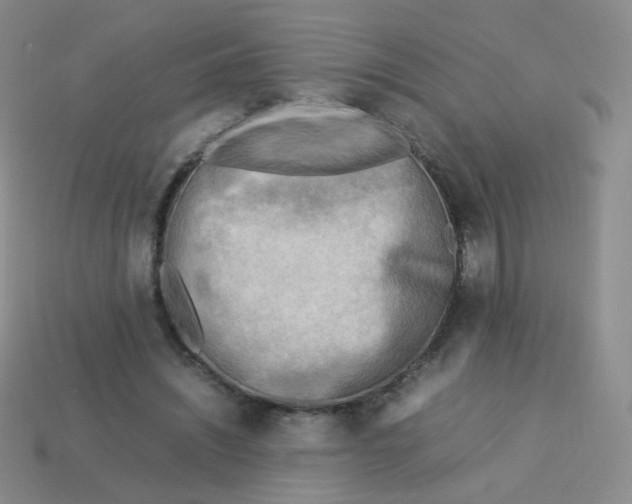 X0000113290444200910131029