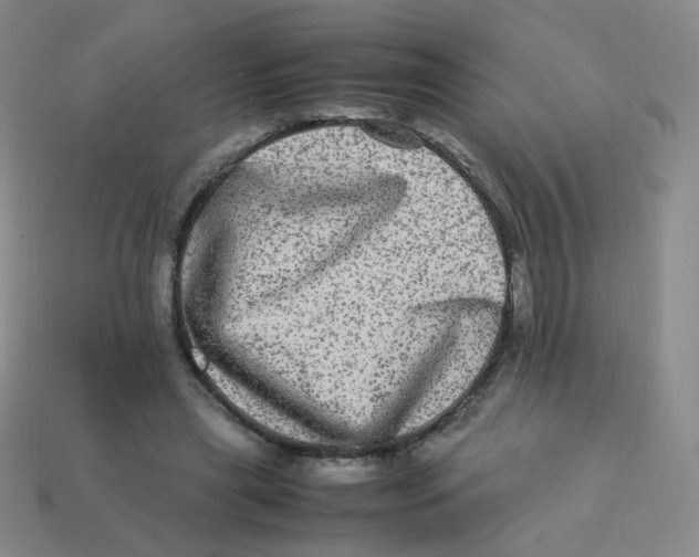 X0000113290445200910131029