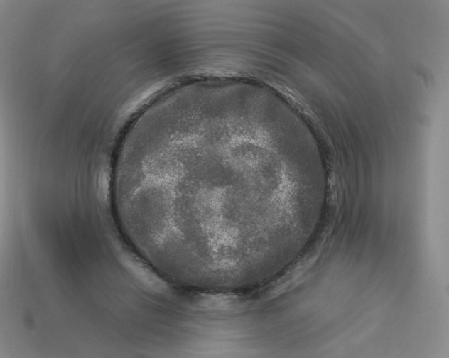 X0000113290446200910131029