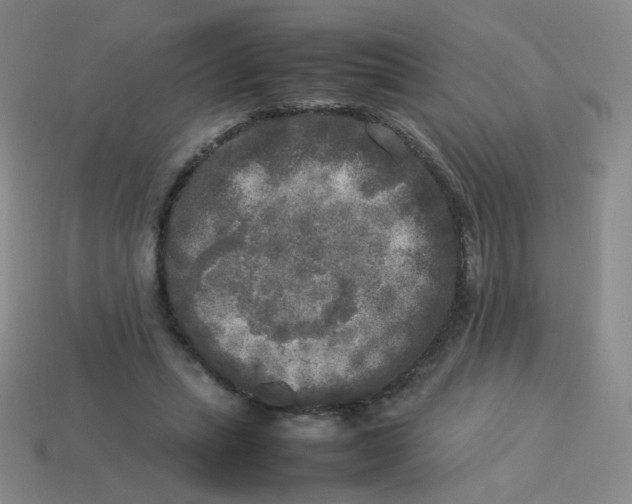 X0000113290447200910131029