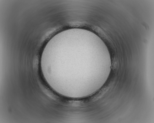 X0000113290448200910131029