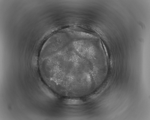 X0000113290449200910131029