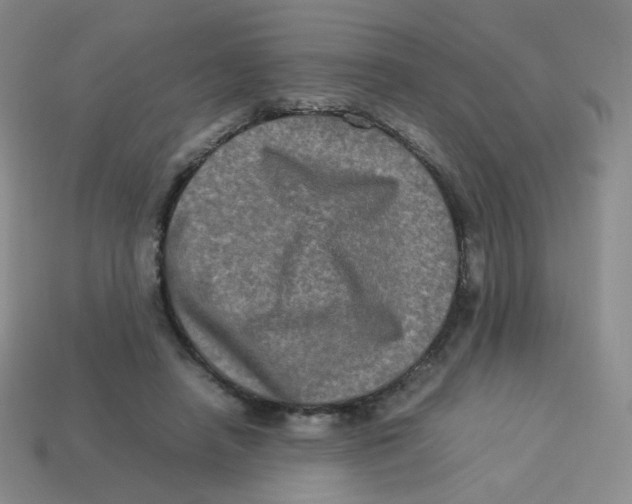 X0000113290450200910131029