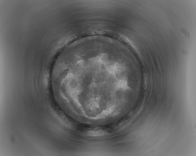 X0000113290451200910131029