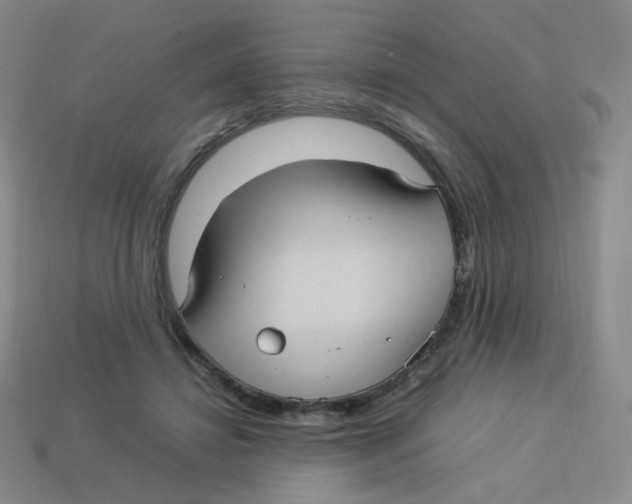 X0000113290452200910131029
