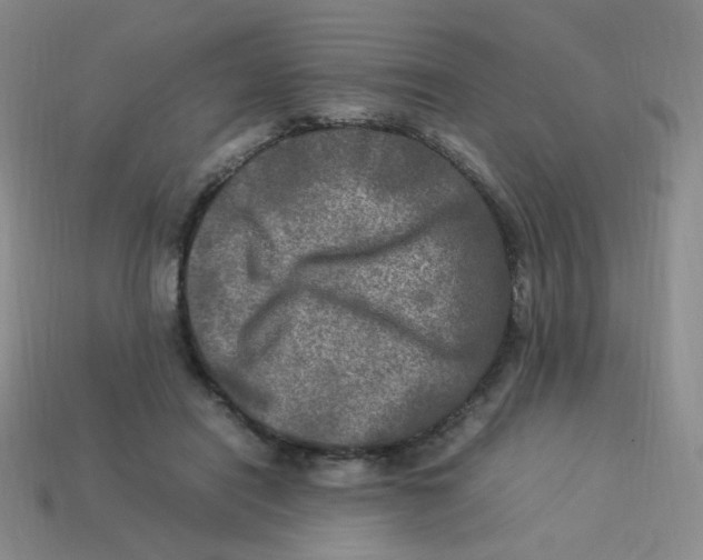 X0000113290454200910131029