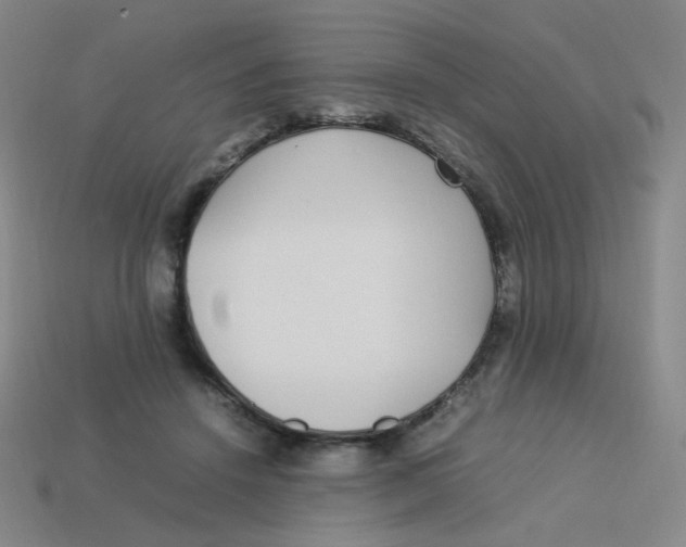 X0000113290456200910131029