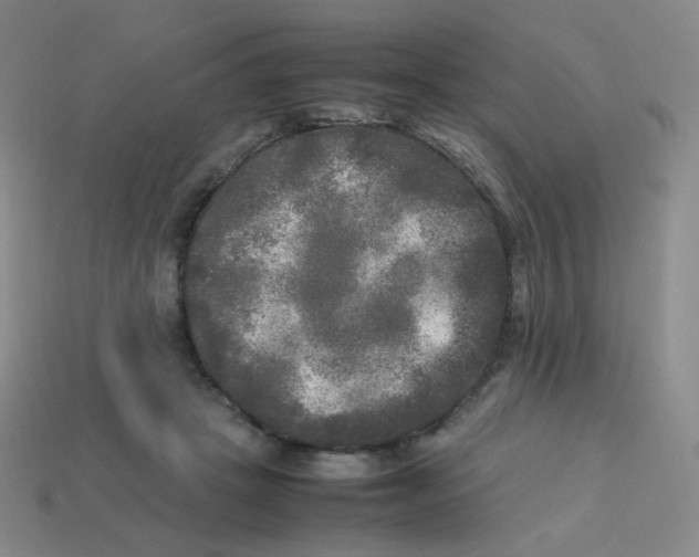 X0000113290457200910131029