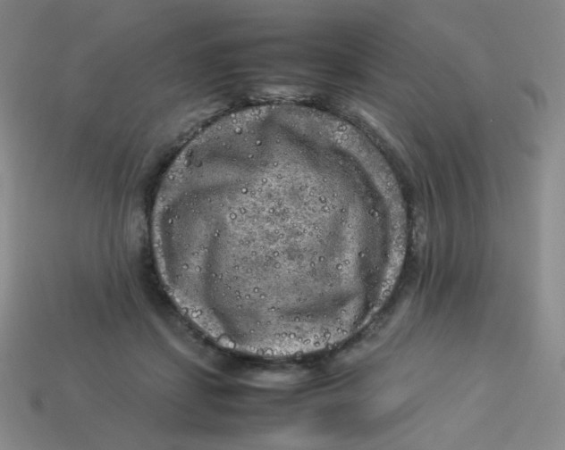 X0000113290459200910131030
