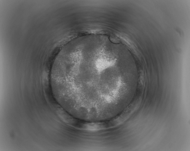X0000113290461200910131030