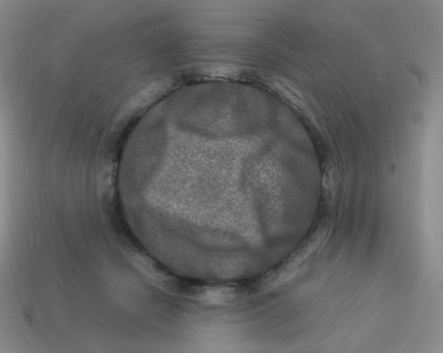 X0000113290462200910131030