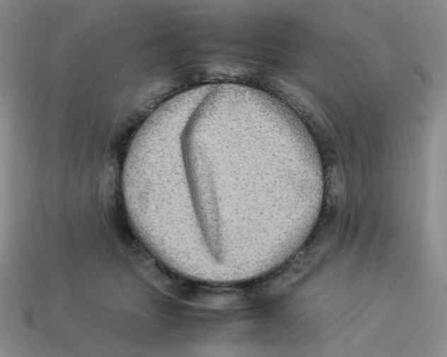 X0000113290463200910131030