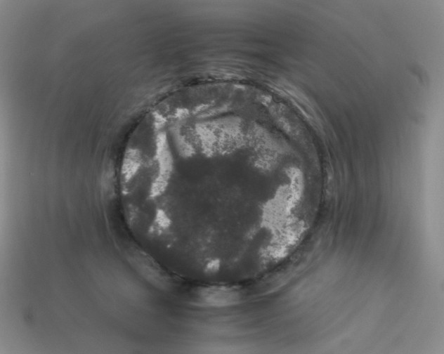 X0000113290465200910131030