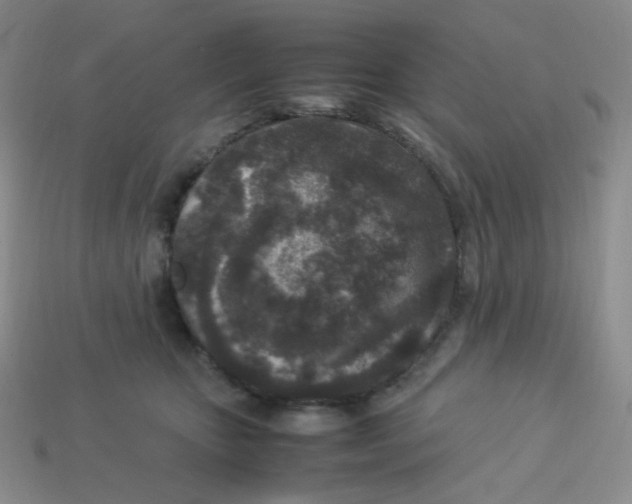 X0000113290467200910131030