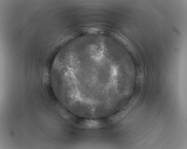 X0000113290469200910131030