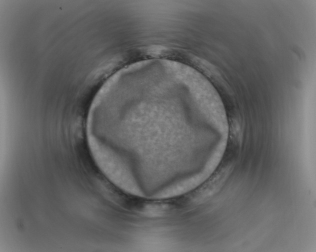 X0000113290470200910131030