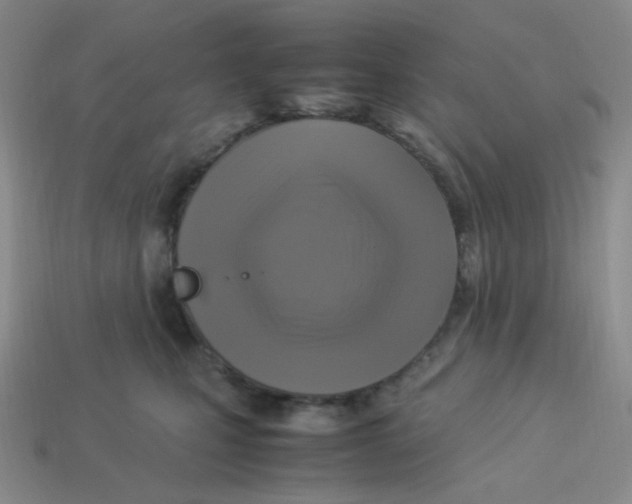 X0000113290471200910131030