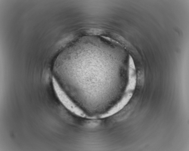 X0000113290474200910131030