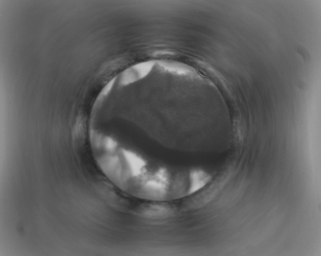 X0000113290475200910131030