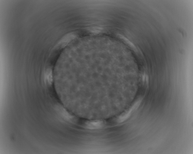 X0000113290479200910131030