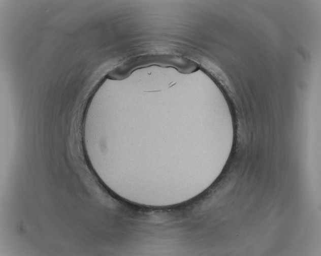 X0000113290481200910131029