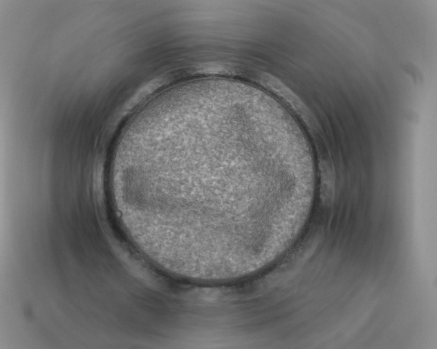 X0000113290482200910131029
