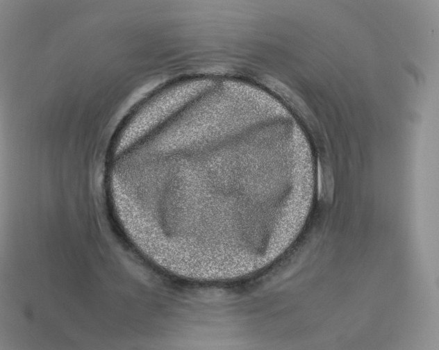 X0000113290483200910131029