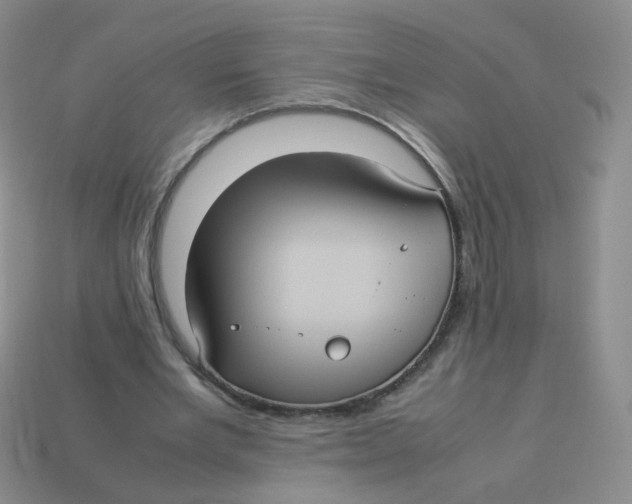 X0000113290485200910131029