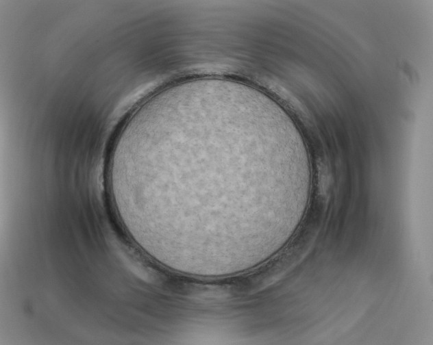 X0000113290486200910131029