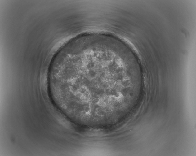 X0000113290487200910131029