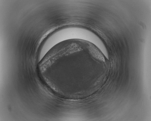 X0000113290488200910131029