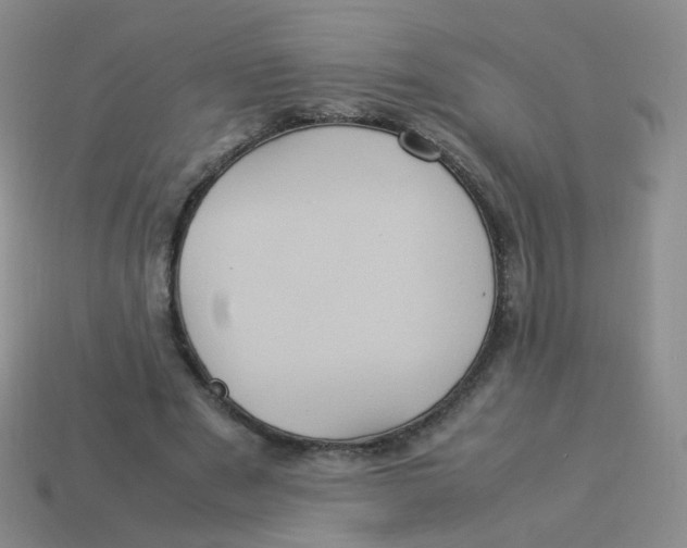 X0000113290489200910131029