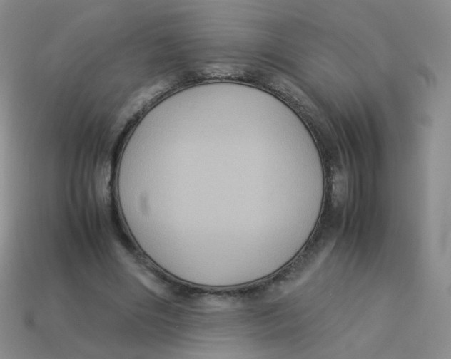 X0000113290490200910131029