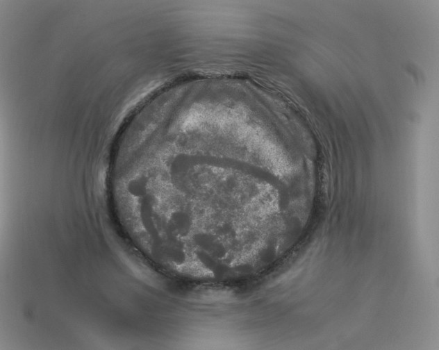 X0000113290491200910131029