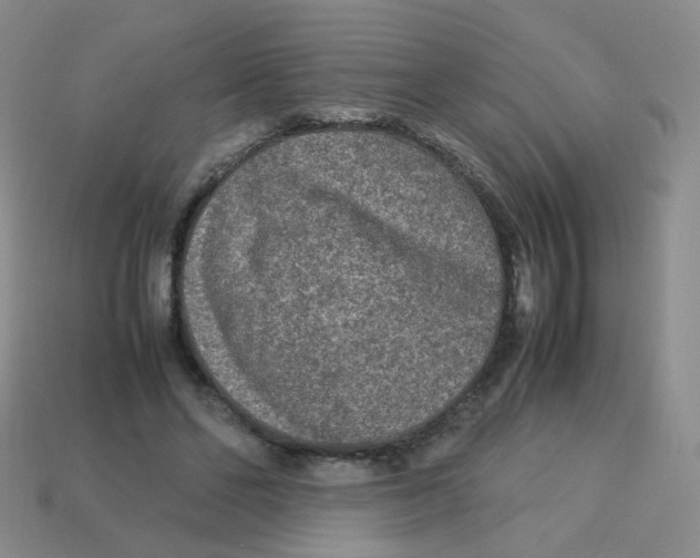 X0000113290494200910131029