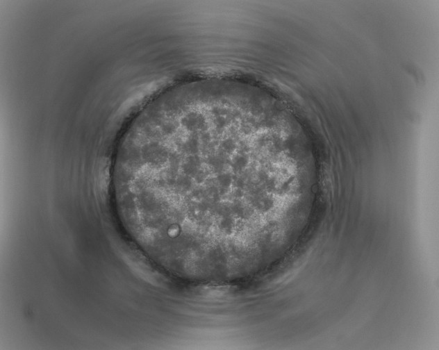 X0000113290495200910131029