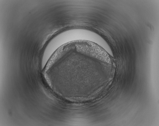X0000113290496200910131029