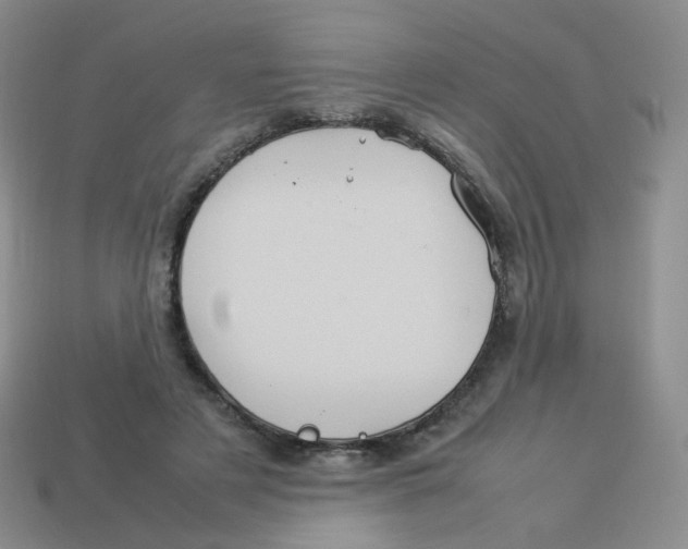 X0000113290497200910131029