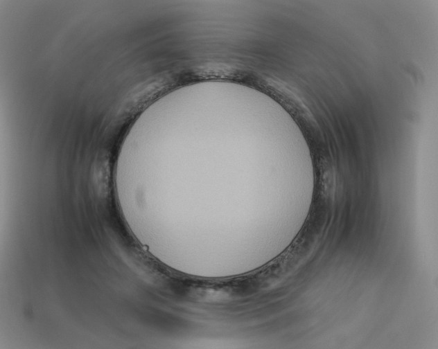 X0000113290498200910131029