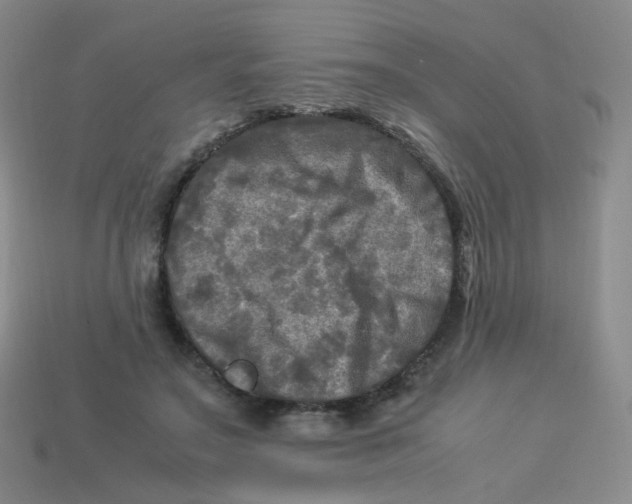 X0000113290499200910131029