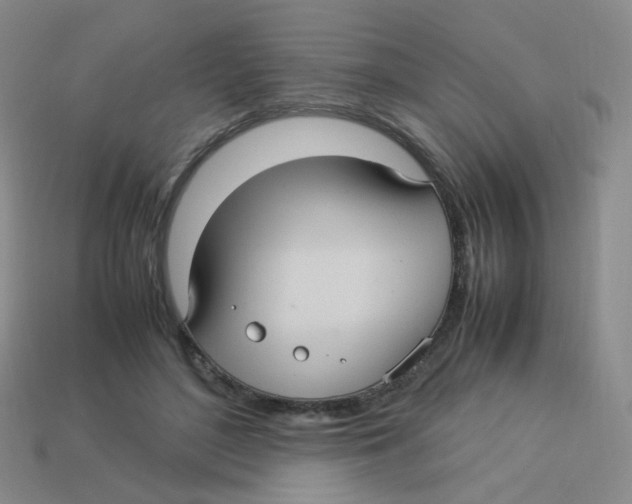 X0000113290500200910131029