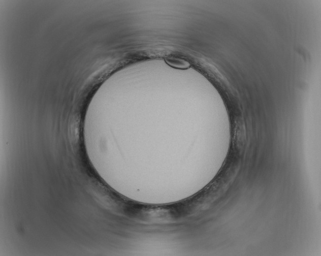 X0000113290501200910131029